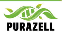 Purazell