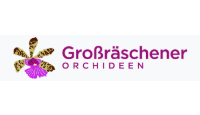 Orchideen